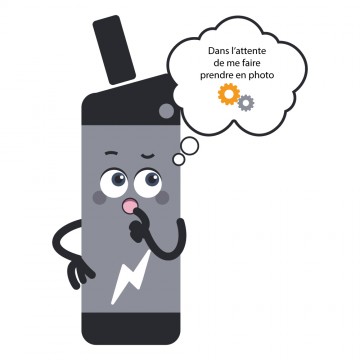 Reconditionnement Batterie...