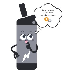 Reconditionnement Batterie...