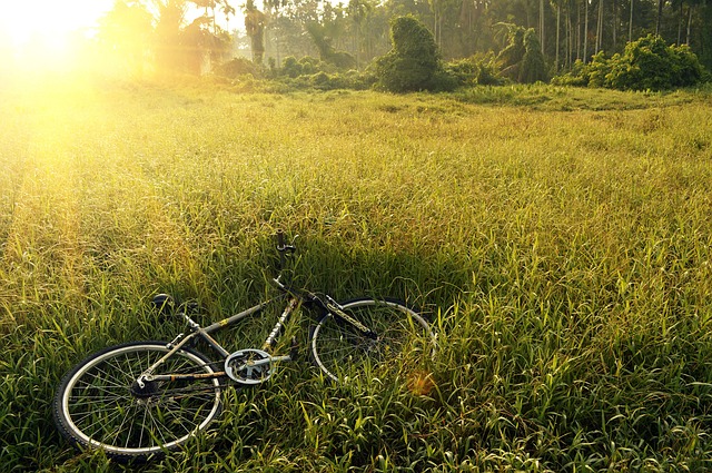 sorties vélo électrique