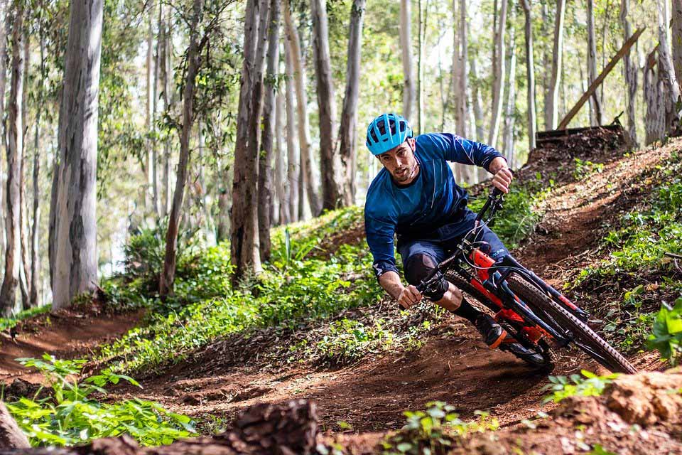 vtt électrique en forêt